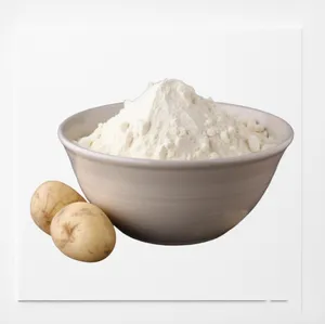 Premium Quality Bulk Sale Protein Isolate 100 Percent Pure Potato Powder For Widely Using Available at Best Price for Export
