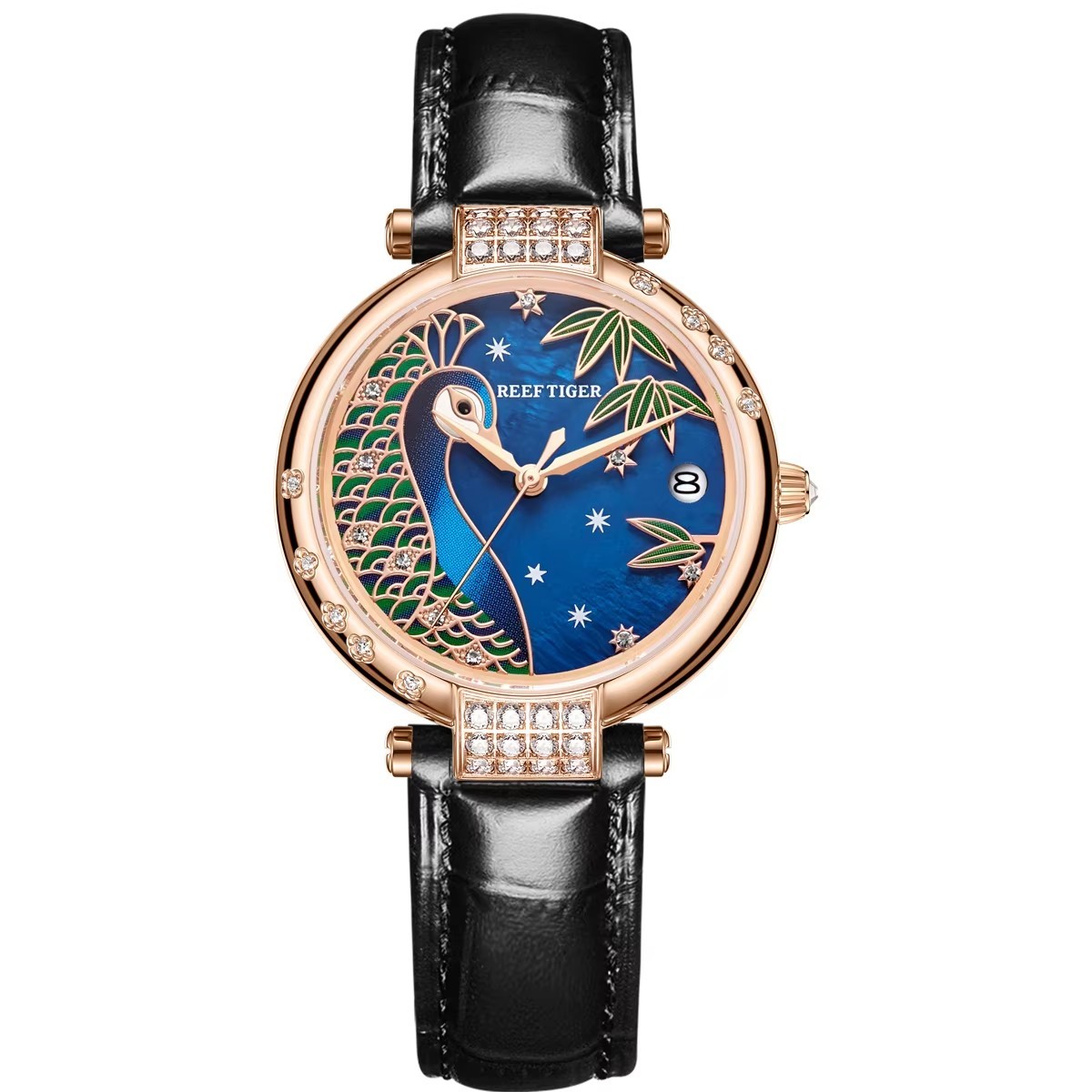 RGA1587-PLB