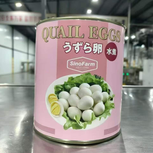 Huevos de <span class=keywords><strong>Codorniz</strong></span> Premium Enlatados, Huevos de <span class=keywords><strong>Codorniz</strong></span> Cocidos y Pelados en Salmuera, Venta al por Mayor, Marca Privada, Oeufs De Caille, Huevo De <span class=keywords><strong>Codorniz</strong></span> - Product Image 2