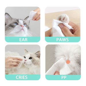Vente en gros pour le toilettage des chiens blanchissant les dents des doigts lingettes pour animaux de compagnie de marque privée lingettes pour les yeux pour animaux de compagnie écologique nourriture pour animaux de compagnie BR nettoyage - Product Image 5