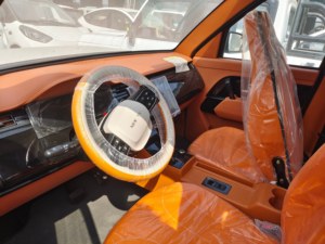 Auto Eléctrico de 4 Ruedas de Alta Calidad y Bajo <span class=keywords><strong>Precio</strong></span>, L1, Perfecto para Viajes Cortos, Vehículo de Nueva Energía, Gran Venta - Product Image 4