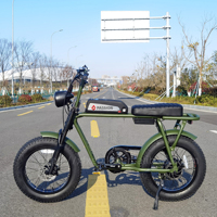 Vélo Électrique Tout-Terrain Cargo Vintage 2026 Nouveau Design 20 Pouces 250W avec Selle Longue pour Homme