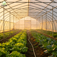 Grande serre agricole multi-travées à structure en acier galvanisé, couverture en film PE, structure stable, montage facile pour hydroponie