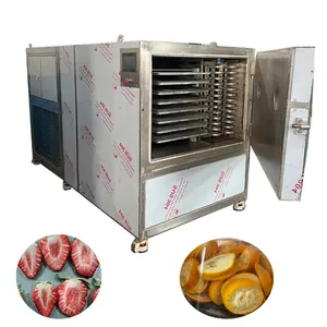 Industrial Food Freeze Vacuum Dryer Drying Price Equipment Machine Fruit Freeze Drier Equipment For Berry