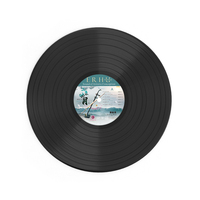 Disque vinyle noir de 12 pouces disponible ER HU Music, pressage de disques vinyles avec solution d'enveloppe imprimée, fabricant de LP