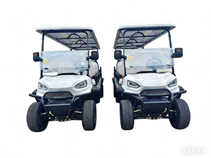 Newly Designed Hot Selling 4+2 Seat Electric <b>Golf</b> Cart - Product Image 2