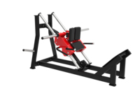 SENFENG SPORTS Fitness Hack Squat Équipement De Fitness Équipement De Poids Libre Équipement De Fitness Multi Exercice Gym Biceps Assis