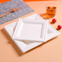 Assiettes carrées jetables en bagasse biodégradables pour fêtes, dîners, anniversaires – Kits de vaisselle en papier en gros