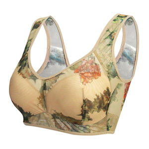 Vente en gros de soutien-gorge push up pour dames à la mode de haute qualité mince et confortable sexy à gros seins - Product Image 2