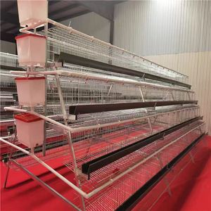 <span class=keywords><strong>Prix</strong></span> d'usine, équipement avicole durable, cages pour poules pondeuses, cages pour poulets, pour l'élevage de cailles - Product Image 2