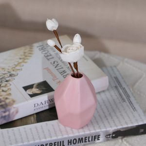 Aromathérapie, <span class=keywords><strong>Fleurs</strong></span> <span class=keywords><strong>vivaces</strong></span>, Bouquets de roses, <span class=keywords><strong>Fleurs</strong></span> de prunier, Branches à plusieurs têtes, Camélia - Product Image 3