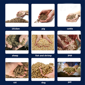 Máquina <span class=keywords><strong>de</strong></span> Pellets <span class=keywords><strong>para</strong></span> Alimento Animal, Mini, Diésel, Manual, <span class=keywords><strong>para</strong></span> Aves <span class=keywords><strong>de</strong></span> Corral, Cerdos, <span class=keywords><strong>Precio</strong></span> <span class=keywords><strong>de</strong></span> Venta <span class=keywords><strong>de</strong></span> Alimento <span class=keywords><strong>para</strong></span> Ganado, Alimentos <span class=keywords><strong>para</strong></span> Animales <span class=keywords><strong>de</strong></span> Alta Resistencia - Product Image 2