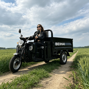 Ready to <b>Ship</b> 3 <b>Wheel</b> for Passengers Pickup tricycle with cabin passenger - Product Image 2