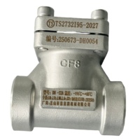 Válvulas de Retención Criogénicas de Alta Resistencia DN 32MM SS304 316 para Agua, Aceite y Oxígeno DH61F-40P con Válvula de Bola PTFE