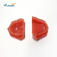 Modelo de mandíbula edéntula completa, modelo de hueso alveolar atrófico superior e inferior para entrenamiento de prótesis dentales completas, CE/ISO/ROHS/CNAS