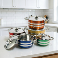 Ensemble de casseroles colorées pour la maison, 6/7/8/9/10 pouces, 5 pièces, en acier inoxydable, pour soupe, nouilles, cuisson, avec couvercle en acier