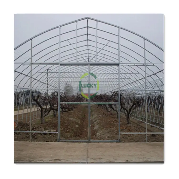 Landwirtschaft Landwirtschaft komplettes Gewächshaus Bogenform hoher Tunnel Gewächshaus für die Anpflanzung von Nutzpflanzen