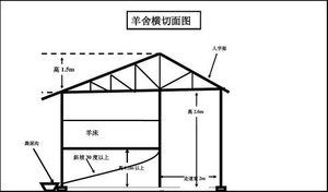 Structure en acier préfabriquée moderne à bas prix pour élevage <span class=keywords><strong>de</strong></span> moutons et <span class=keywords><strong>de</strong></span> chèvres - Product Image 3