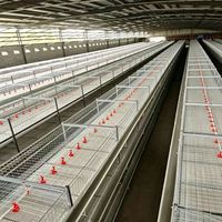 Cage à poulets en fil d'acier, cage à poulets à structure en acier, cage d'élevage de poulets, cage à poulets commerciale, cage à poulets domestique