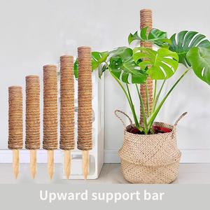 Supports décoratifs de plantes en fibre de coco pour le jardinage domestique - Product Image 2