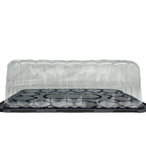 19*13 inch cake container clear Recyclable cake box