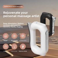 Nouveau usage domestique chauffage électrique Fascia couteau microcourant Relaxation masseur grattoir en métal pour le soulagement des muscles du corps