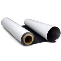 Vinilo Magnético Resistente a la Intemperie y Cortable de 24/48 Pulgadas para Plotter Eco Solvente
