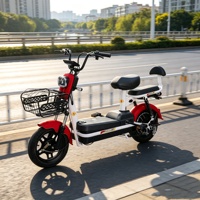 Mini Vélo Électrique Hybride Urbain 350W Moteur Brushless Contrôleur 6 Tubes Pneus 14 250 sous Vide Alarme Antivol Rétroviseurs Trois Vitesses