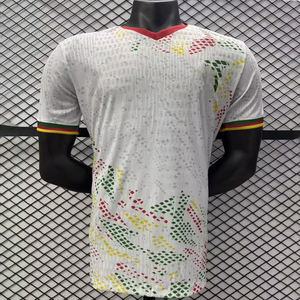 Maillots de football personnalisés et en gros de l'équipe nationale du <span class=keywords><strong>Cameroun</strong></span>, de l'équipe de football de l'Algérie, de la Côte d'Ivoire et du Maroc - Product Image 3