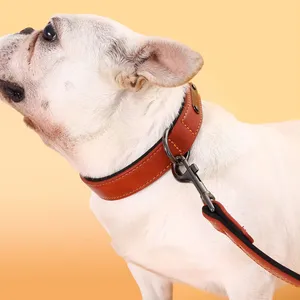 Collare per cani in pelle sintetica di lusso all'ingrosso con guinzaglio collare per animali domestici