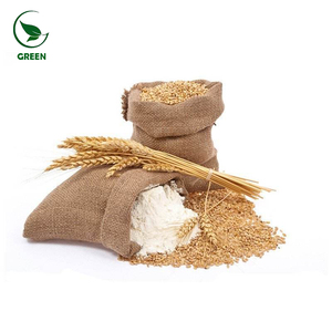 תוספת צמח לחלבון חיטה - Product Image 2