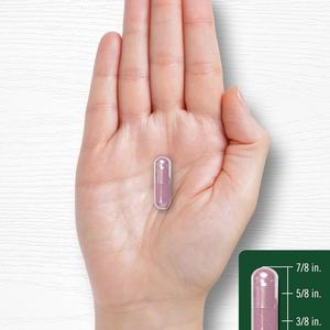 Cápsulas de Ñame Silvestre Natural Puro de Alta Calidad OEM/ODM, Suplemento para el Cuidado de la Salud para Adultos - Product Image 4