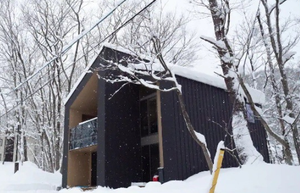 Villa Prefabricada Moderna de 2 Pisos, Antisísmica, de Madera, de Ensamblaje Rápido, con Estructura de Techo Plano, para Viviendas Individuales en Áreas Medianas y Apartamentos de Gran Altura - Product Image 2