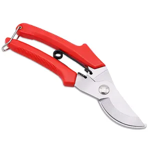 Best Quality Trimming Pruner Bonsai Household Portable Pruning Shears Flower Tree Curved Tools Filco Gardening Scissors
