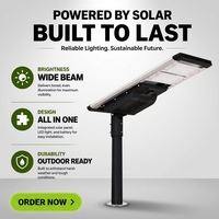 Lampadaire solaire intégré FX60W-PLUS 190LM/W Bridgelux 5050 avec batterie LiFePO4, gradation DALI, étanchéité IP66, 6000K, en aluminium
