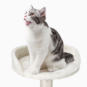 Pohon panjatan kucing Halloween multi-lapis, pohon kustom untuk menggaruk dengan Sisal dan fitur mewah - Product Image 3