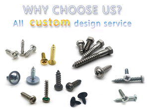 Allen Vít Gỗ Trung Quốc Bán Buôn Tùy Chỉnh Kim Loại Hexagon Ổ Cắm <span class=keywords><strong>Head</strong></span> <span class=keywords><strong>Cap</strong></span> Tự Khai Thác Vít M6 Thép Không Gỉ Tự Khai Thác Vít - Product Image 6