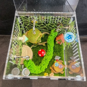 점핑스파이더 사육장, 통풍구가 있는 아크릴 파충류 케이지, 투명 사육장, 잠금장치가 있는 번식 상자 - Product Image 6