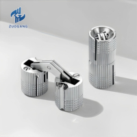 Charnière cylindrique en laiton de 24mm Accessoires de quincaillerie de meubles Boîte à bijoux de porte d'armoire Mini charnières dissimulées de 8mm