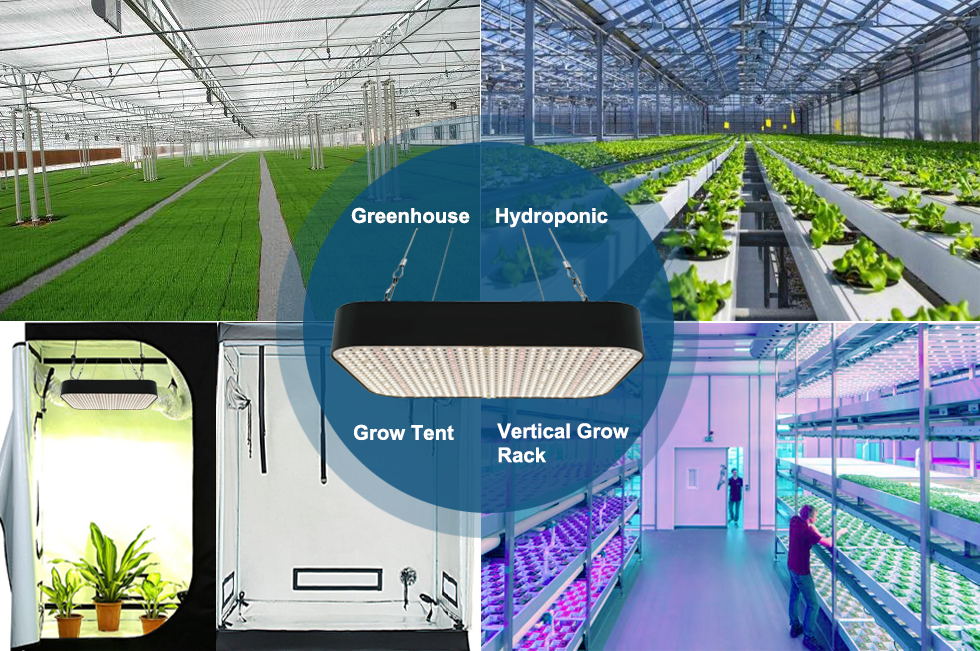 Top selling quantum box grow lights 65W/80W/130W full spectrum indoor plant Veg flower growing lamps quantum LED grow lights