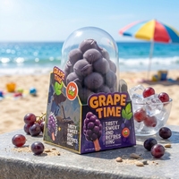 Crème glacée aux raisins LIKLAK3D, saveur riche en raisins, onctueuse et non grasse, rafraîchissante et sucrée, 75 g par pièce, 12 pièces par boîte