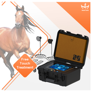 Magicbelle Machine de thérapie RF de bureau portable Tecar Thérapie vétérinaire équine pour le soulagement de la douleur des chevaux Traitement ciblé du visage efficace - Product Image 6
