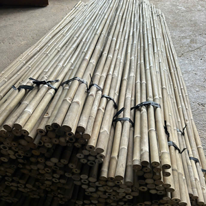 ไม้ไผ่สำหรับปลูกต้นไม้ขนาดเส้นผ่าศูนย์กลาง1.6-2ซม. ยาว50-250ซม. ผลิตจากเวียดนาม - Product Image 6