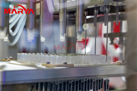 Machine de remplissage de seringues/cartouches/flacons Marya à haut rendement pour les lignes de production de vaccins