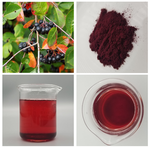 Concentré d'<span class=keywords><strong>aronia</strong></span> de haute qualité, extrait de fruit de l'<span class=keywords><strong>aronia</strong></span> melanocarpa, poudre de chokeberry - Product Image 2