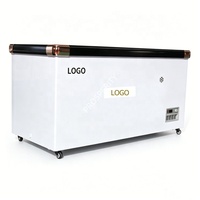 Congelador Horizontal Europeo de 1.2m con Enfriamiento Directo, Color Personalizado, Fabricación OEM