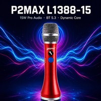 Mini microphone sans fil professionnel pour karaoké, système d'amplification pour haut-parleur de karaoké