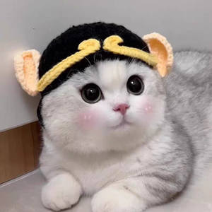 Lindo Conjunto de Gorro y Babero de Minion para Mascotas, Collar y Bufanda Tejidos a Mano, Gorro de Punto Suave, Accesorios de Disfraz Ajustables y Cómodos para Gatos - Product Image 1