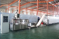 Machine automatique d'extrusion de snacks à double vis pour produits céréaliers, type pop-corn et gâteaux de riz, machine à faire des gâteaux de riz soufflés et des snacks.