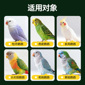 HuanPet <b>Parrot</b> <b>Food</b> 2.5kg Golden Tasty Mix For Cockatiel And <b>Parrot</b> - Product Image 5